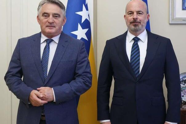 Komšić i Ginkel razgovarali o unaprjeđenju saradnje BiH i SAD-a