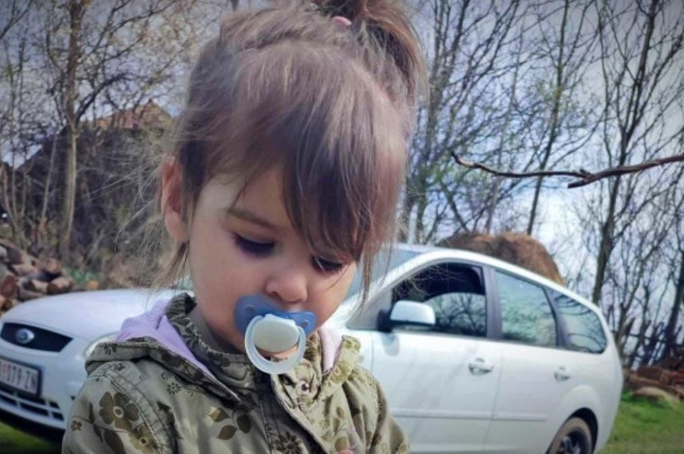 Analiza iz Beograda potvrdila sumnje o nestanku Danke Ilić: Svi tragovi se poklapaju