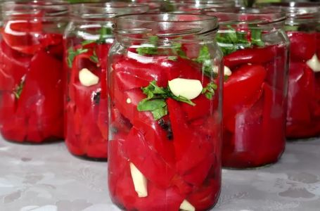 Niko vam neće otkriti ovu tajnu: Ovako se pravi zimnica koja traje 5 godina, a preukusna