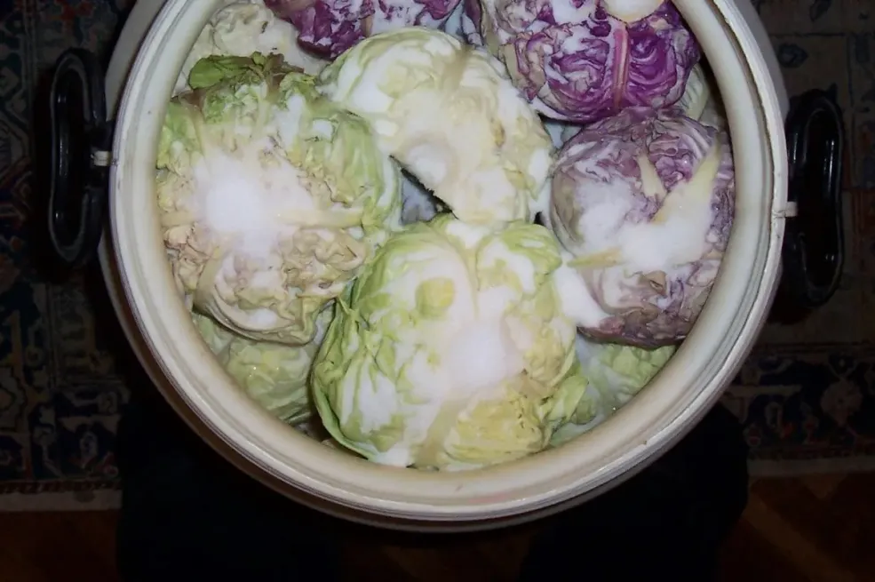 Samo ovo je prava količina za pravi rasol, evo koliko soli ide u 10 l vode za kiseli kupus