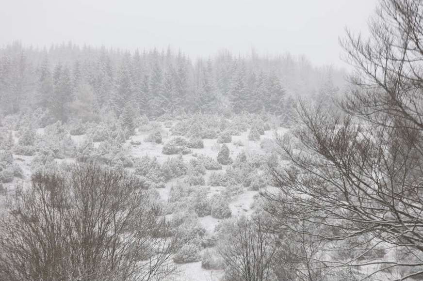 Pao prvi snijeg na Bjelašnici: Pogledajte detaljnu prognozu za naredne dane