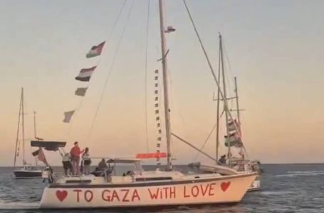 Zašto se kaže "flotila", a ne "flota"?