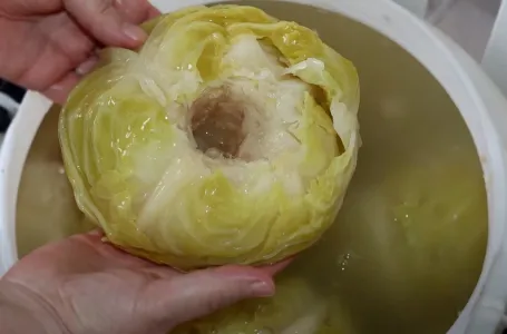 DOKTORI UPOZORILI: Ne jedite kiseli kupus ako bolujete od ovih bolesti