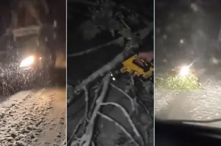 Snijeg u Srbiji izazvao haos: Jedna opština potpuno odsječena od svijeta, hiljade ljudi bez struje