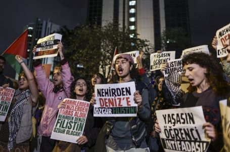 Danas se u Tursku vraća 36 državljana s flotile za Gazu: Dolaze i stranci