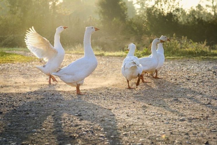 Stiže Miholjsko ljeto a s njim i topliji dani, temperature će opet ići preko 20 stepeni