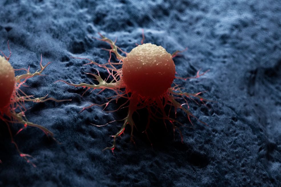 Španski naučnici otkrili protein koji može natjerati ćelije raka na samouništenje