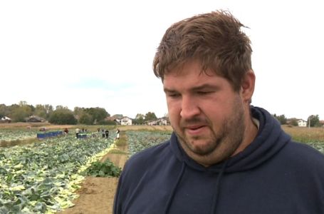 Mladom rataru lopovi tokom noći ukrali pet tona paprika