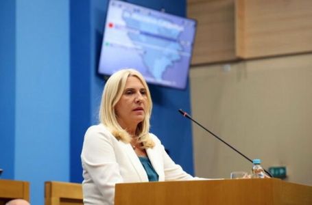 Cvijanović: Dovijamo se, zakone donesemo, pa povučemo po potrebi