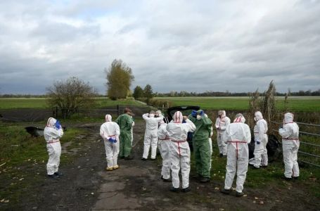 Uzbuna u Njemačkoj zbog širenja virusa: "Imamo puno žarišta"