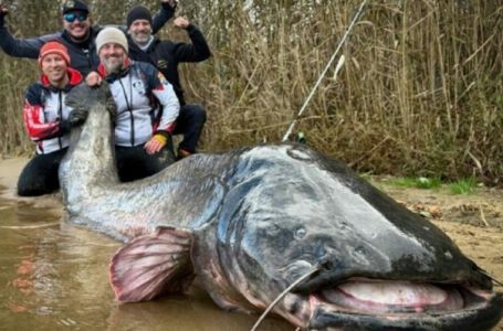 Ribari oborili svjetski rekord: Upecano "čudovište" od skoro tri metra