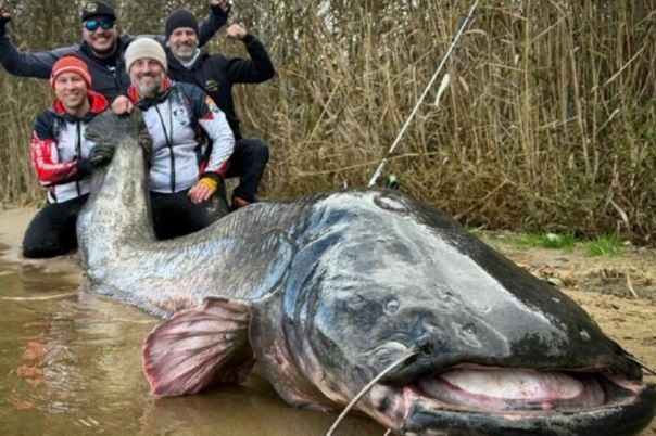 Ribari oborili svjetski rekord: Upecano "čudovište" od skoro tri metra