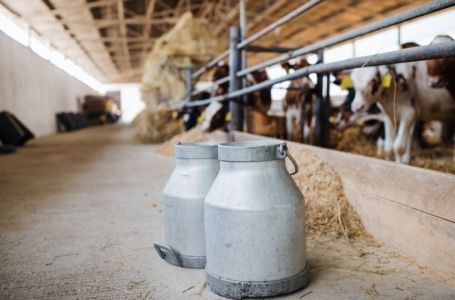 Hoće li mlijeko uskoro biti skuplje u BiH? Proizvođači kažu da je neophodno