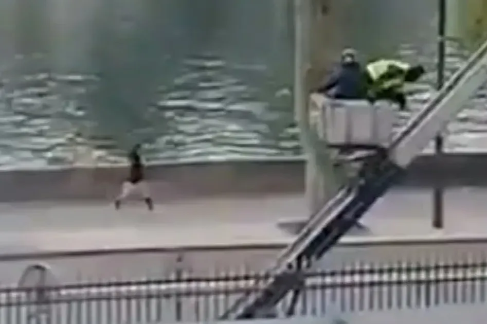 Među osobama koje su opljačkale Louvre je i državljanin Bosne i Hercegovine