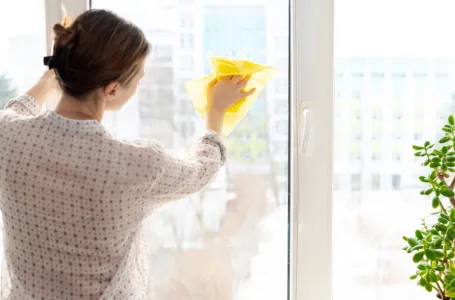 Trik koji koriste hoteli: Samo kap ovog sastojka i prozori sijaju nedjljama bez trunke prašine