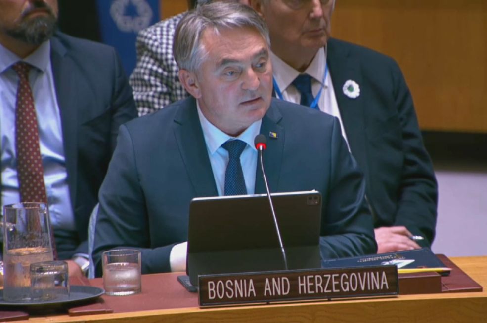 Komšić govorio pred Vijećem sigurnosti: "2 su opcije za stabilizaciju u BiH"