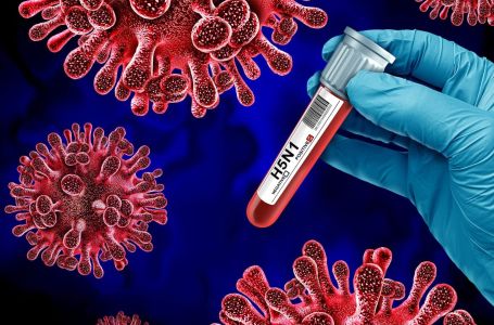 Sve više zaraženih: Epidemija virusa pred vratima