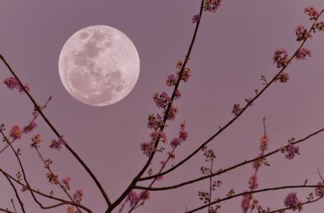 Stiže pun Mjesec u Biku: Za 4 horoskopska znaka život se mijenja 5. novembra