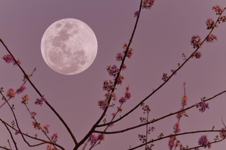 Stiže pun Mjesec u Biku: Za 4 horoskopska znaka život se mijenja 5. novembra