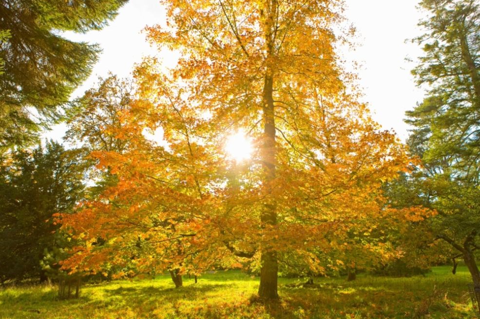 U BiH danas pretežno sunčano