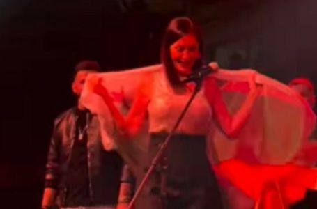 Ceca na koncertu u Sjevernoj Makedoniji zgrozila publiku: Evo šta se desilo