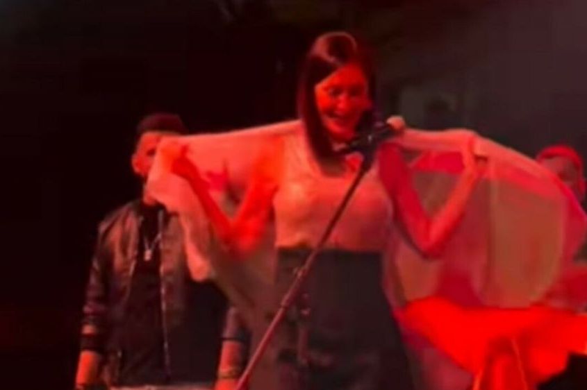 Ceca na koncertu u Sjevernoj Makedoniji zgrozila publiku: Evo šta se desilo