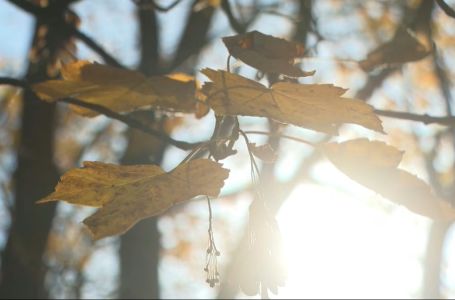 Meteorolozi: Miholjsko ljeto uskoro završava, stiže prava jesen