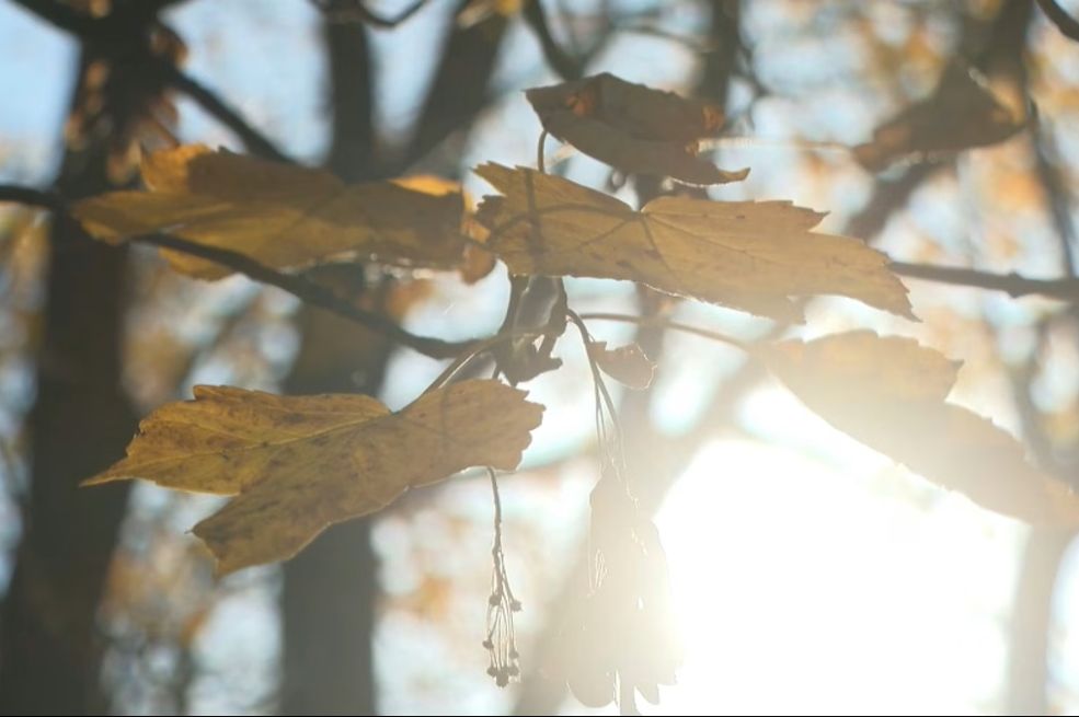 Meteorolozi: Miholjsko ljeto uskoro završava, stiže prava jesen