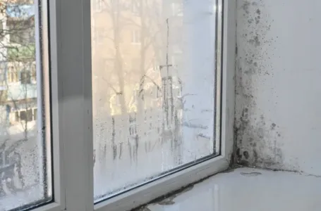 Moler otkrio kako da se riješite vlage i buđi: Dovoljna je samo jedna čašica ovog proizvoda