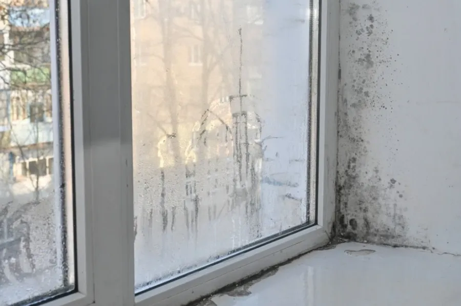 Moler otkrio kako da se riješite vlage i buđi: Dovoljna je samo jedna čašica ovog proizvoda