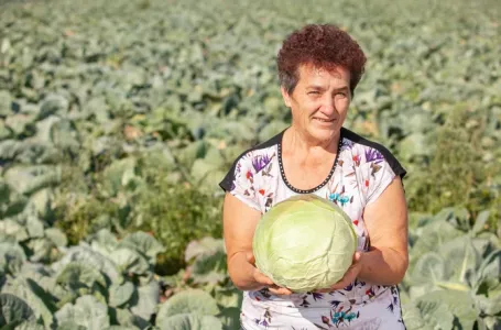 Ovako Slobodanka iz Futoga kiseli kupus: "Ljudi najčešće greše sa količinom soli,"