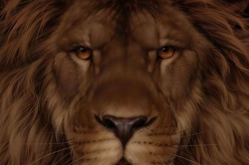 Test otkriva da li ste u grupi posebnih: Svi vide lava, a samo 5% ljudi primijeti i drugu životinju