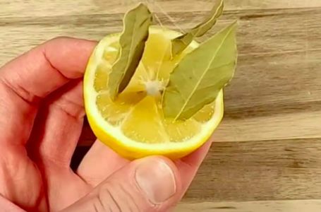 Zabodite LOVOROV LIST U LIMUN i desiće se magija: Riješit ćete veliki problem vašeg domaćinstva