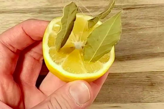 Zabodite LOVOROV LIST U LIMUN i desiće se magija: Riješit ćete veliki problem vašeg domaćinstva