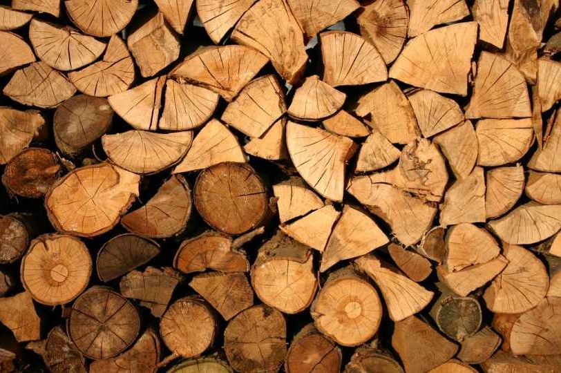 Stručnjak dao odgovor: Ovo drvo za ogrijev gori najduže