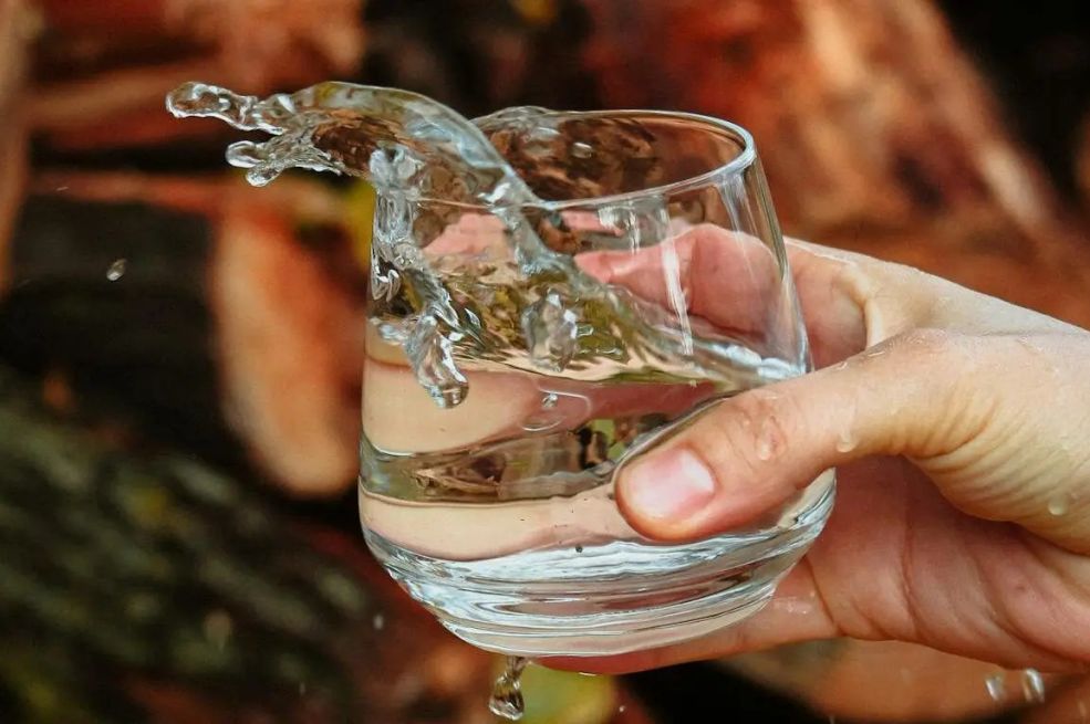 Od njega mozak radi k’o švajcarski sat: U vodu svaki dan dodajte ovaj sastojak