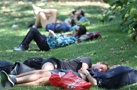 Najgora i najinvazivnija moguća vrsta stigla je u Evropu: Napada ljude, istrebljenje skoro nemoguće