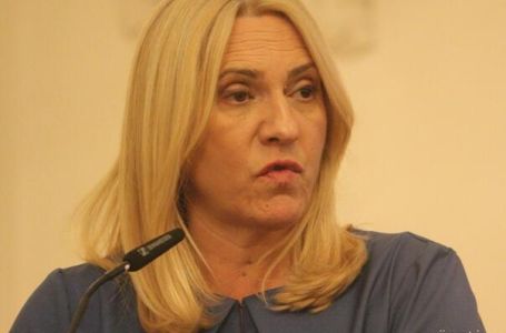 Neće im se svidjeti: Njemački šef diplomatije dolazi u BiH s porukom za Cvijanovićevu i vlasti RS