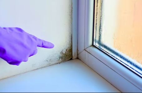 Stručnjak otkrio trik: Evo kako da vaši prozori ove zime ostanu suhi, bez vlage i plijesni