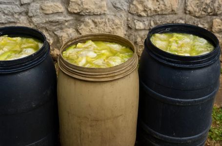 Ovo je prava količina soli za kiseli kupus: Napravite savršen rasol i hrskavi kupus bez greške!