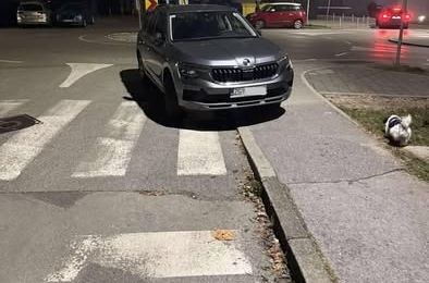 Na ovoj fotografiji zabilježeno je 5 prekršaja: Znate li ih sve nabrojati?