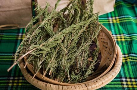 Sve više ljudi pali grančice ruzmarina u domu: Evo zašto