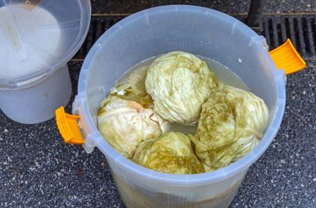 Ako se uhvati bijela skrama morate ga baciti? 3 najčešće greške zbog kojih se kiseli kupus pokvari