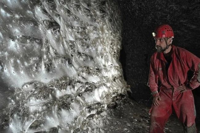 Otkrivena golema paukova mreža s čak 111 000 paukova