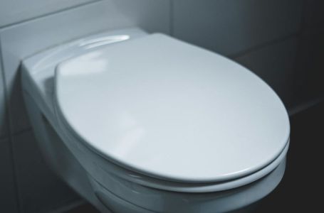 Zašto uvijek trebate držati poklopac WC školjke zatvoren: Iznenađujući razlozi stručnjaka