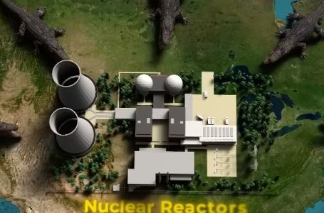 Zašto više od 500 krokodila živi pored nuklearnog reaktora u SAD-u