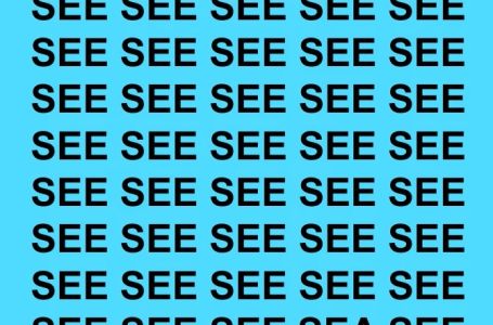 Samo oni sa najboljim vidom mogu uočiti riječ 'SEA' za 5 sekundi