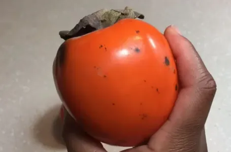 Ukusna i puna vitamina: Japanska jabuka je zdrava, ali pazite na ove dvije stvari