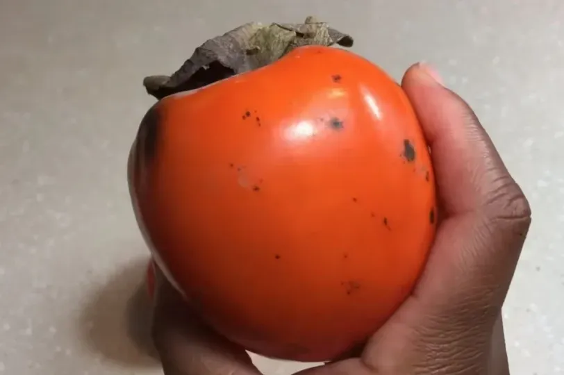 Ukusna i puna vitamina: Japanska jabuka je zdrava, ali pazite na ove dvije stvari