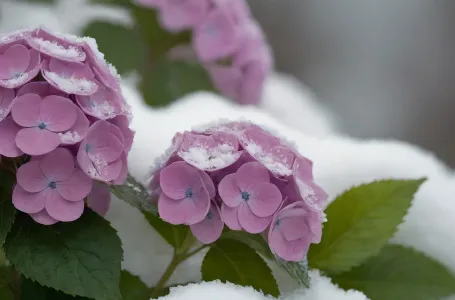 Evo šta možeš uraditi sa snijegom u vrtu: Tako ćeš ojačati biljke i pobrinuti se za tlo